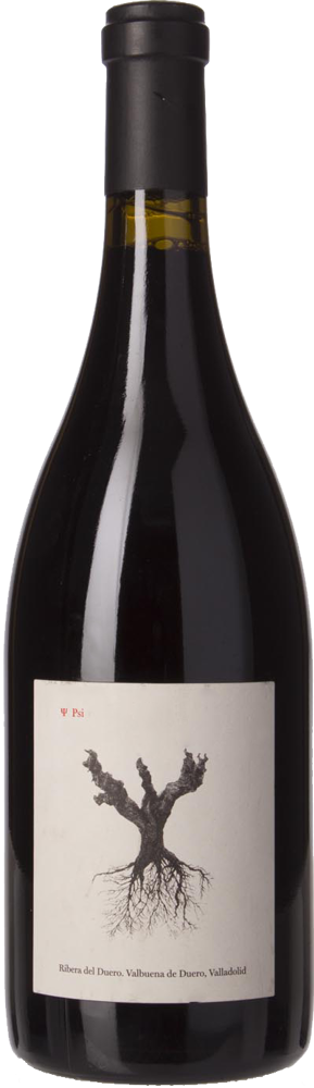 2023 PSI, Bodegas & Viñedos Alnardo, Ribera del Duero bottle shot.