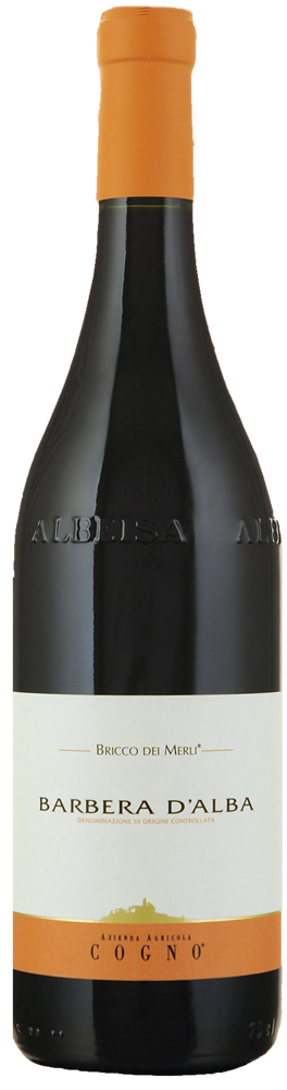 2021 Barbera d'Alba Bricco dei Merli, Elvio Cogno bottle shot.