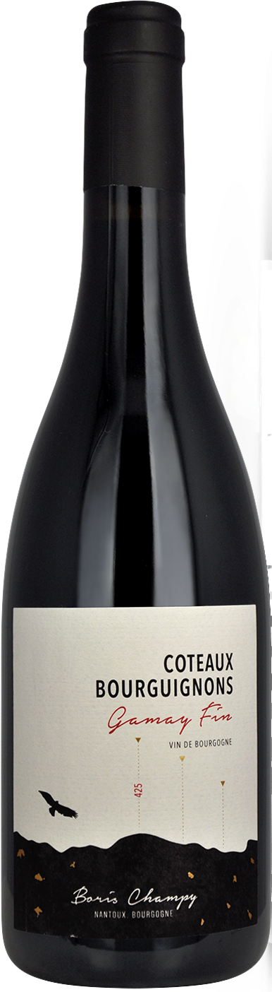 2022 Coteaux Bourguignons, Domaine Boris Champy