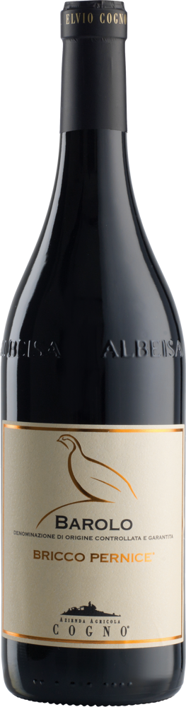 2018 Barolo Bricco Pernice, Elvio Cogno bottle shot.