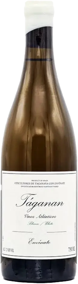 2023 Táganan Blanco, Envínate, Tenerife