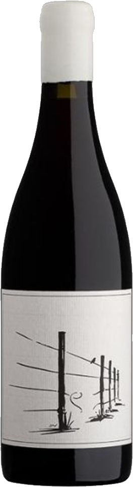 2023 Thief In The Night, Savage Wines