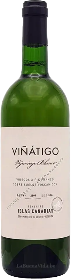 2022 Vijariego Blanco, Bodegas Viñátigo, Tenerife