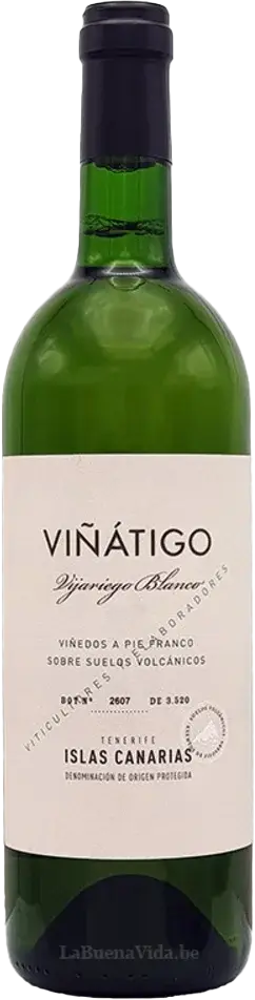 2022 Vijariego Blanco, Bodegas Viñátigo, Tenerife bottle shot.