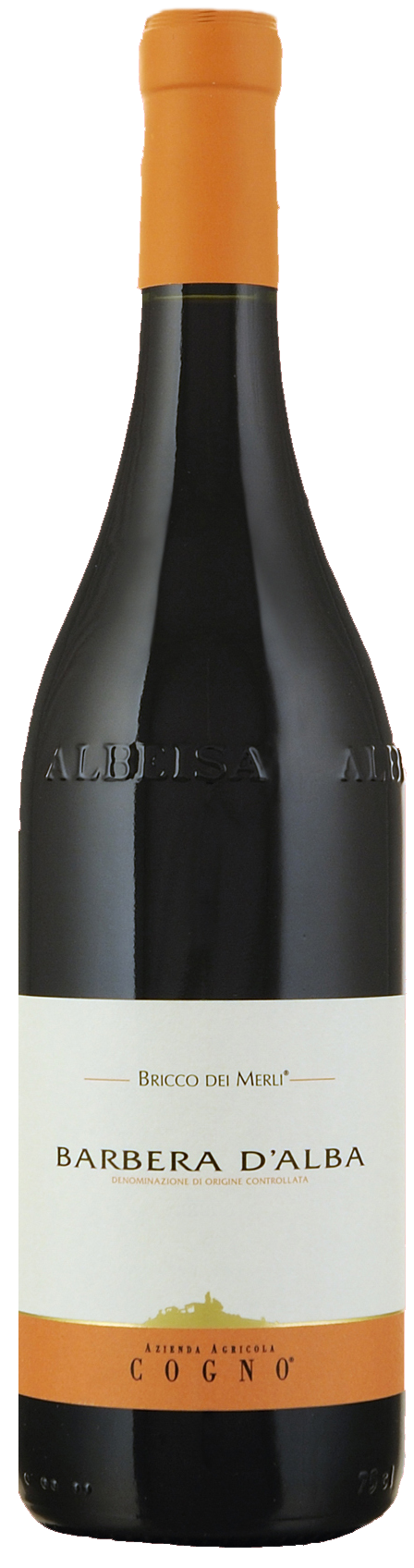 2017 Barbera d'Alba Bricco dei Merli, Elvio Cogno