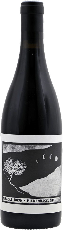 2021 Miracle Bush Red, Swartberg Wingerde, Piekenierskloof