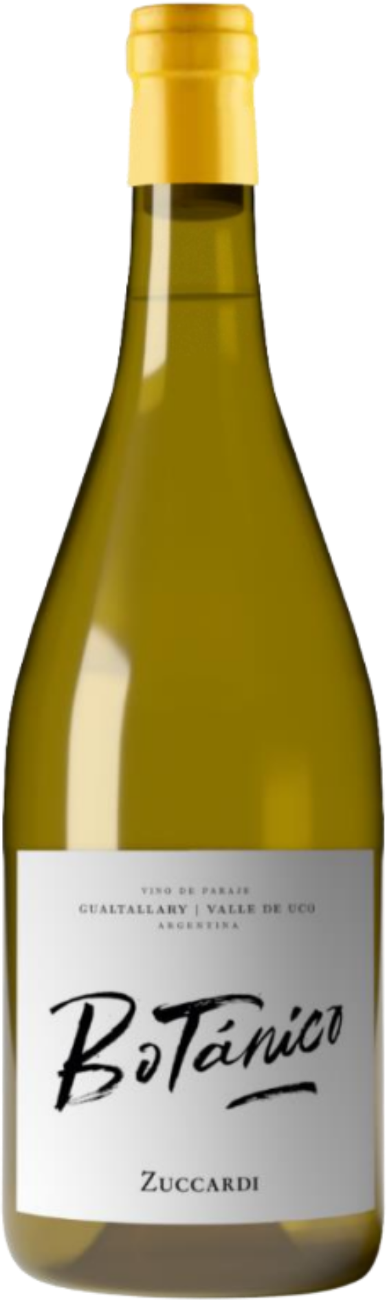 2021 Zuccardi Botánico Gualtallary Chardonnay