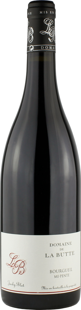 2022 Bourgueil Mi-Pente, Domaine de la Butte, Jacky Blot bottle shot.