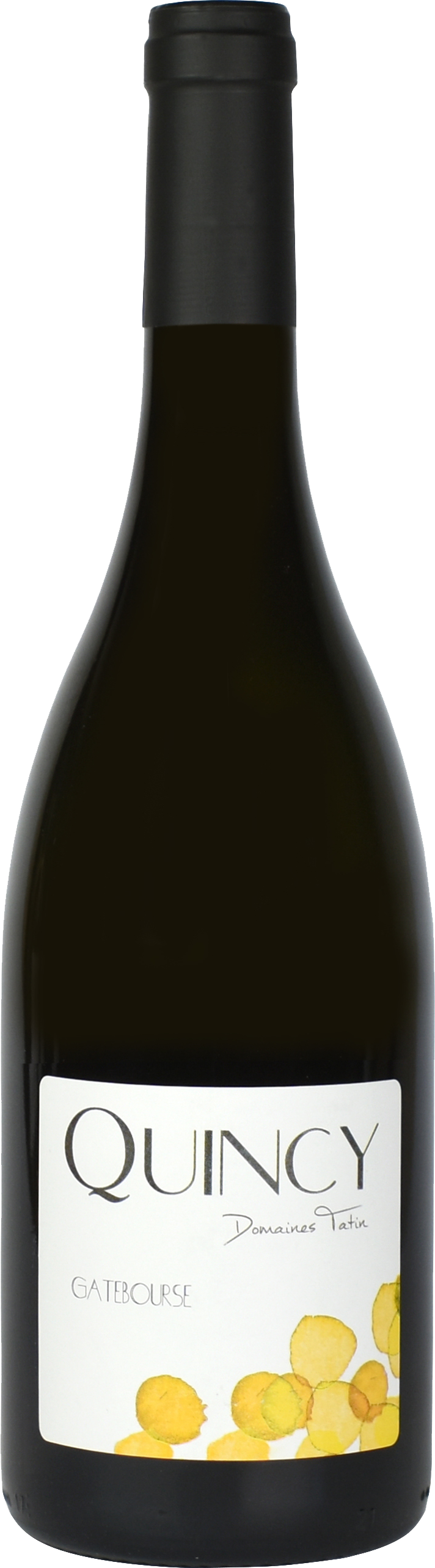 2017 Quincy Cuvée Gatebourse, Domaines Tatin